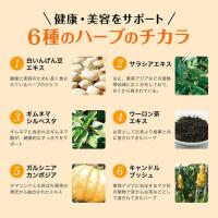 サプリメント 酵母 スベルティ SVELTY ぱっくん分解酵母 120粒