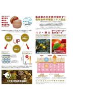 トリプルA薬用　新 ・ 天然 ゲルアンドゲル S ゲルクリーム 150g